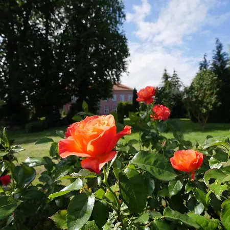 Otel Gross Koethel Hohen Demzin