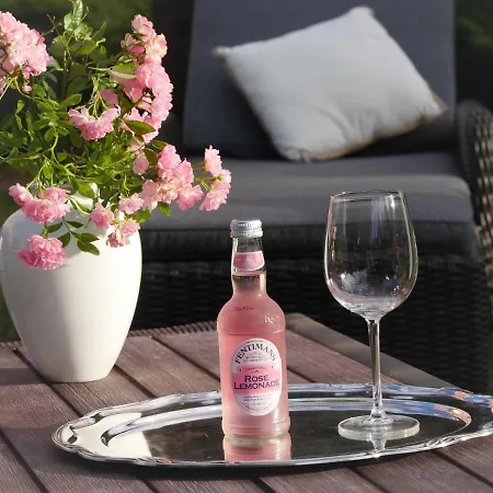 Отель Gross Koethel Hohen Demzin