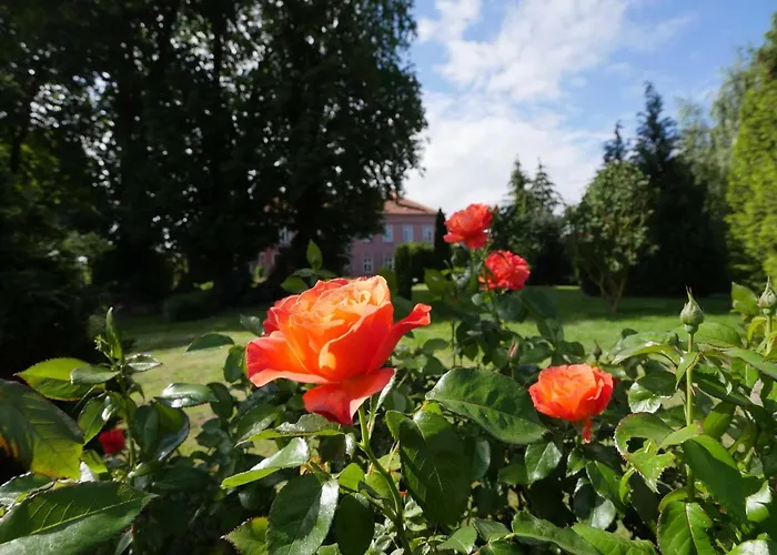 Hotel Gross Koethel Hohen Demzin